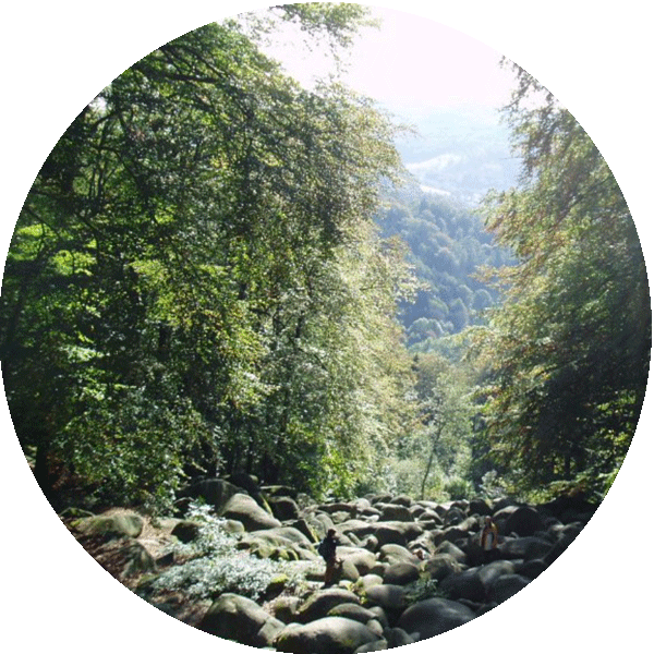 lautertal-felsenmeer